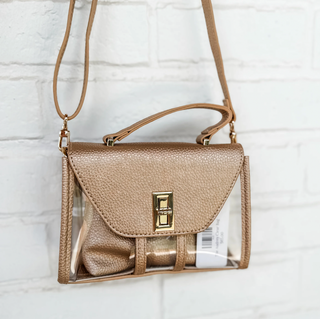 The Audrey Clear Bag